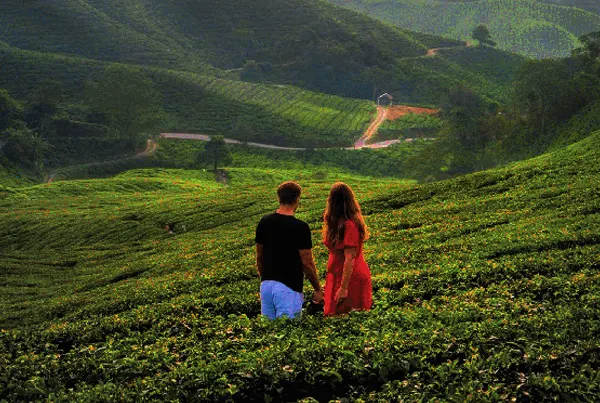B2B Travel Agents in Kerala