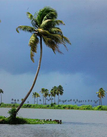alappuzha b2b tour packages