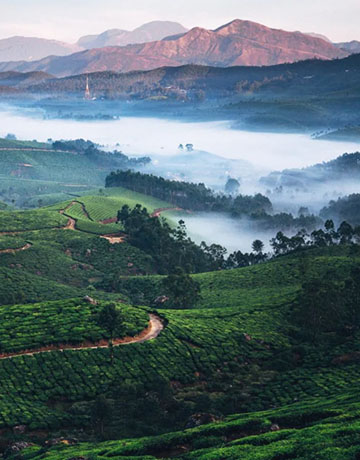 munnar b2b tour packages