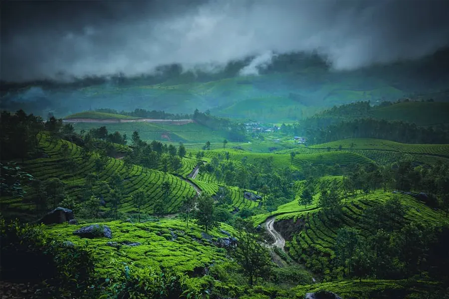 kerala dmc munnar packages